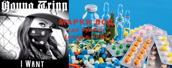 PSILOCYBIN Богданович
