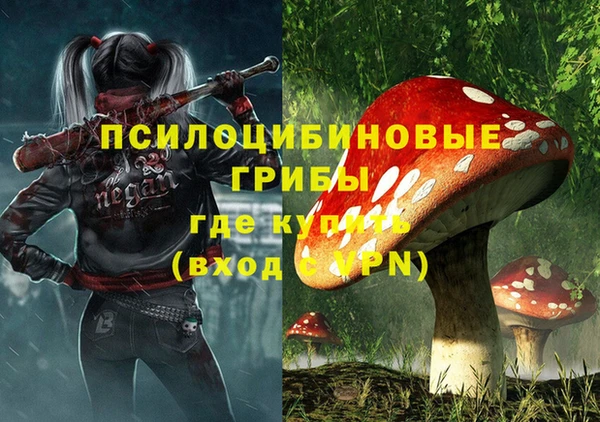 спиды Белоозёрский